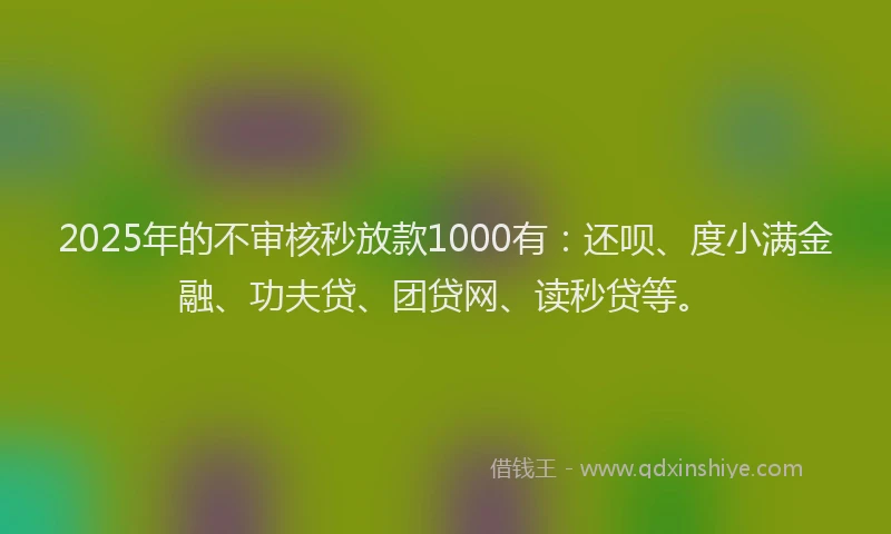 2025年的不审核秒放款1000有：还呗、度小满金融、功夫贷、团贷网、读秒贷等。