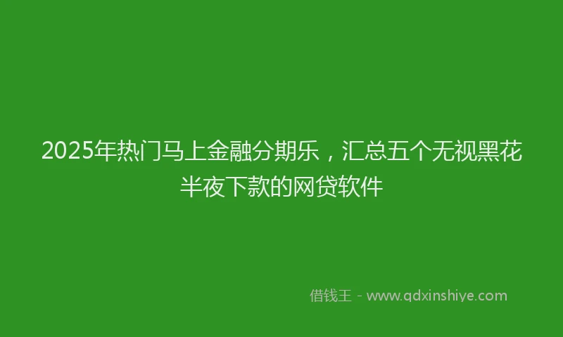 2025年热门马上金融分期乐，汇总五个无视黑花半夜下款的网贷软件