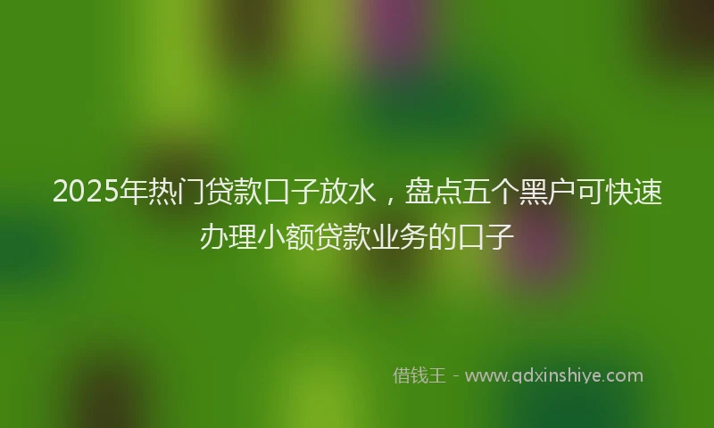 2025年热门贷款口子放水，盘点五个黑户可快速办理小额贷款业务的口子