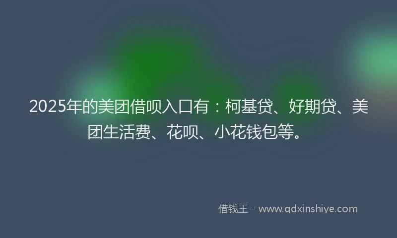 2025年的美团借呗入口有：柯基贷、好期贷、美团生活费、花呗、小花钱包等。
