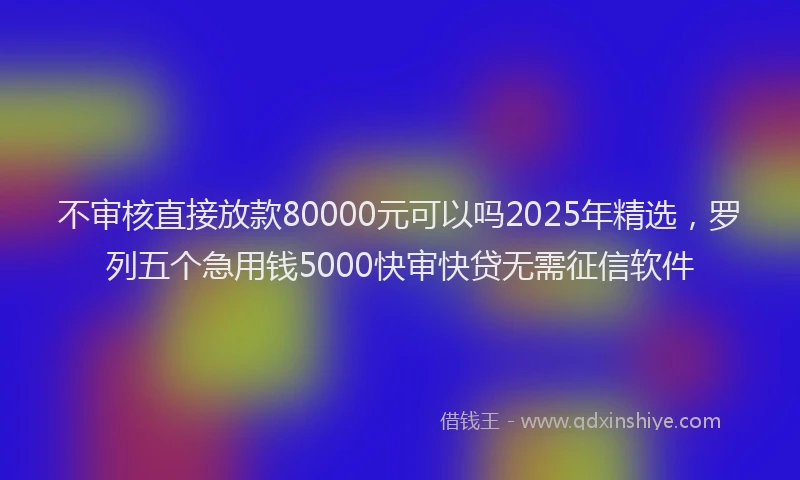 不审核直接放款80000元可以吗2025年精选，罗列五个急用钱5000快审快贷无需征信软件
