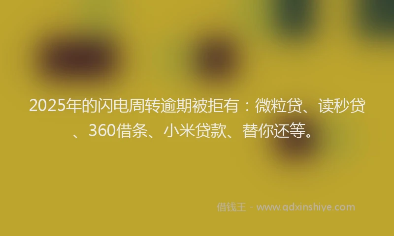 2025年的闪电周转逾期被拒有：微粒贷、读秒贷、360借条、小米贷款、替你还等。