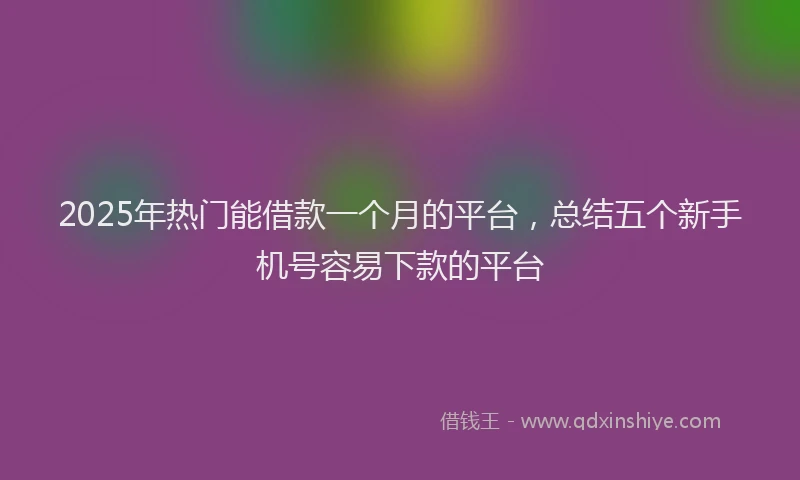 2025年热门能借款一个月的平台，总结五个新手机号容易下款的平台