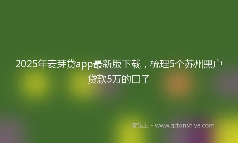2025年麦芽贷app最新版下载，梳理5个苏州黑户贷款5万的口子