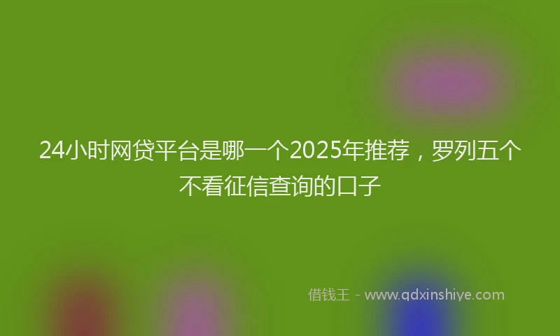24小时网贷平台是哪一个2025年推荐，罗列五个不看征信查询的口子