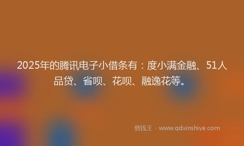 2025年的腾讯电子小借条有：度小满金融、51人品贷、省呗、花呗、融逸花等。