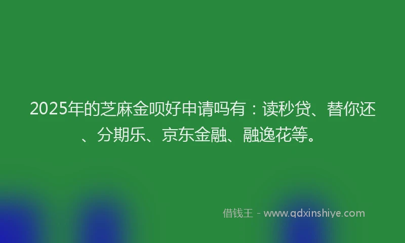 2025年的芝麻金呗好申请吗有：读秒贷、替你还、分期乐、京东金融、融逸花等。