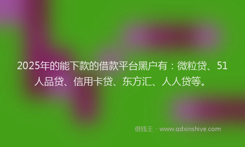 2025年的能下款的借款平台黑户有：微粒贷、51人品贷、信用卡贷、东方汇、人人贷等。