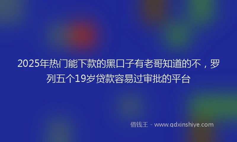 2025年热门能下款的黑口子有老哥知道的不，罗列五个19岁贷款容易过审批的平台