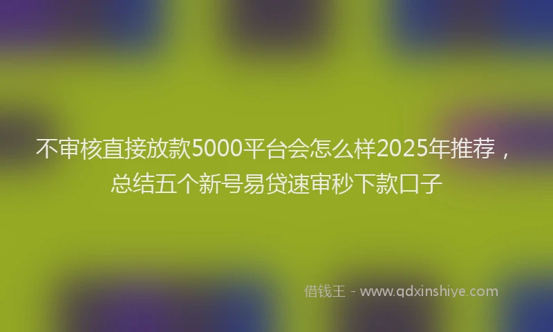 不审核直接放款5000平台会怎么样2025年推荐，总结五个新号易贷速审秒下款口子