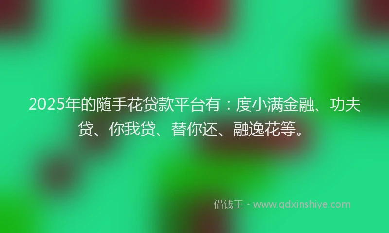 2025年的随手花贷款平台有：度小满金融、功夫贷、你我贷、替你还、融逸花等。
