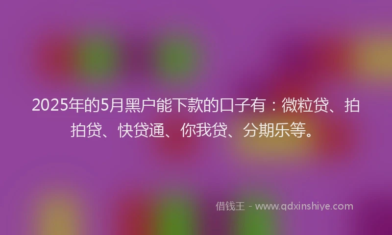 2025年的5月黑户能下款的口子有：微粒贷、拍拍贷、快贷通、你我贷、分期乐等。