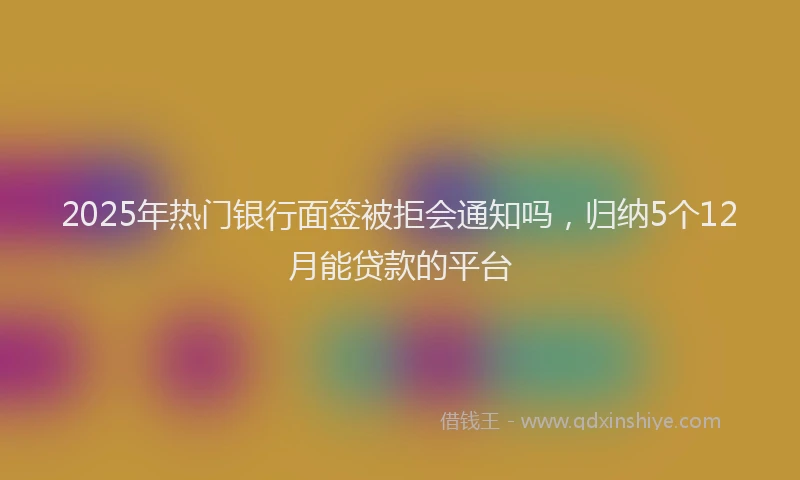 2025年热门银行面签被拒会通知吗，归纳5个12月能贷款的平台