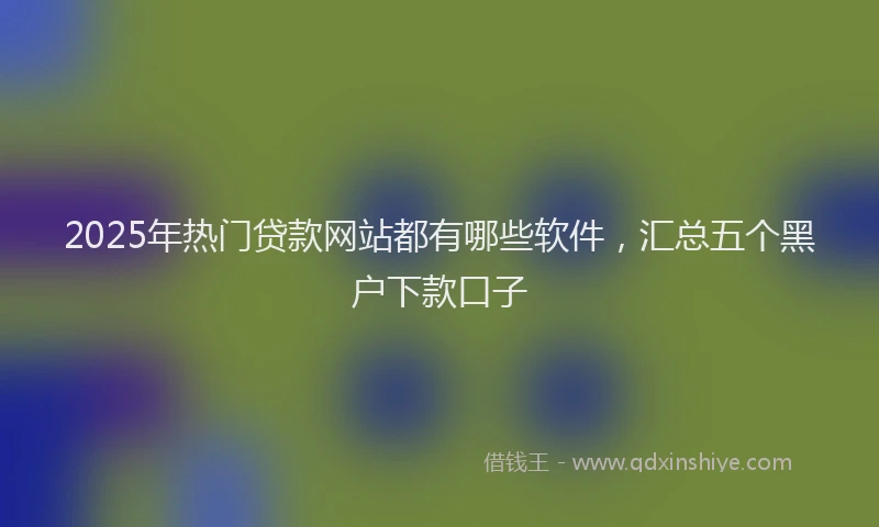 2025年热门贷款网站都有哪些软件，汇总五个黑户下款口子