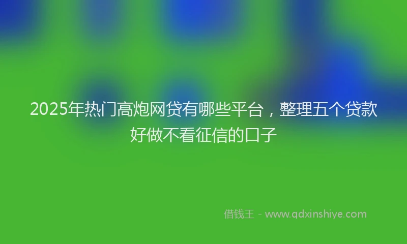 2025年热门高炮网贷有哪些平台，整理五个贷款好做不看征信的口子
