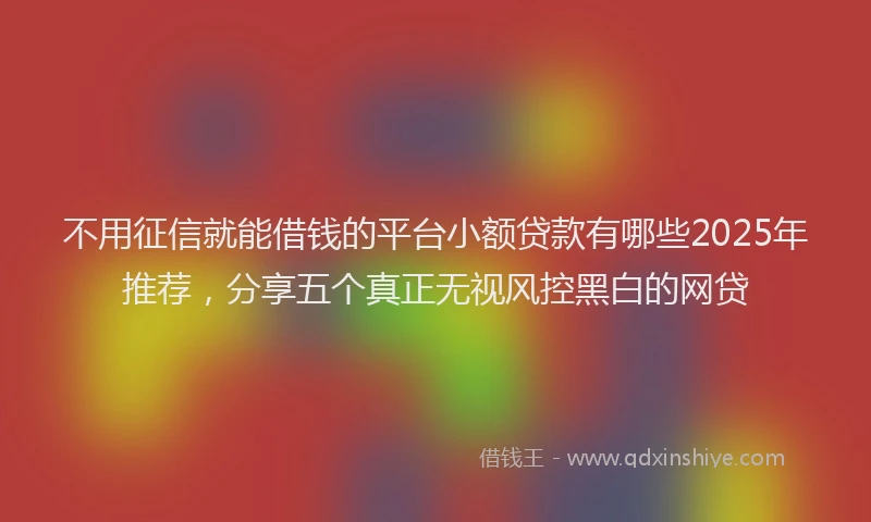 不用征信就能借钱的平台小额贷款有哪些2025年推荐，分享五个真正无视风控黑白的网贷