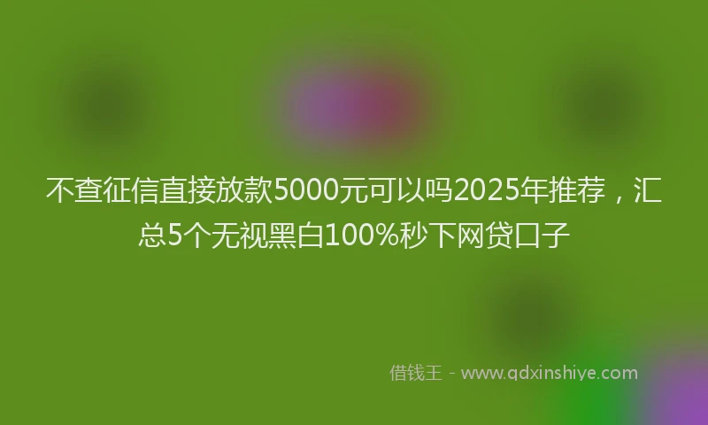不查征信直接放款5000元可以吗2025年推荐，汇总5个无视黑白100%秒下网贷口子