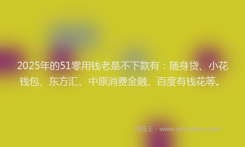 2025年的51零用钱老是不下款有：随身贷、小花钱包、东方汇、中原消费金融、百度有钱花等。