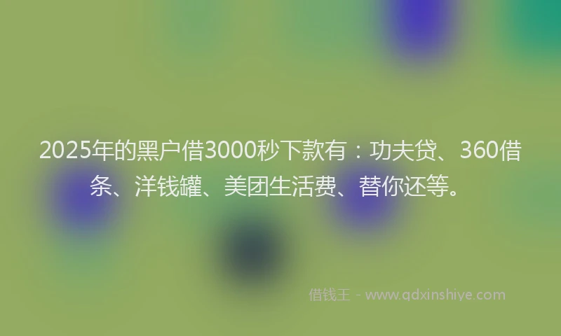 2025年的黑户借3000秒下款有：功夫贷、360借条、洋钱罐、美团生活费、替你还等。