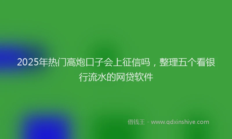 2025年热门高炮口子会上征信吗，整理五个看银行流水的网贷软件