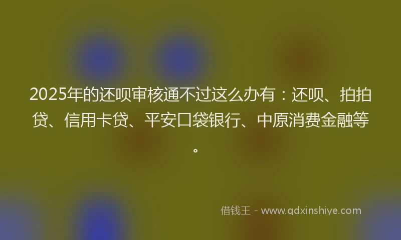 2025年的还呗审核通不过这么办有：还呗、拍拍贷、信用卡贷、平安口袋银行、中原消费金融等。