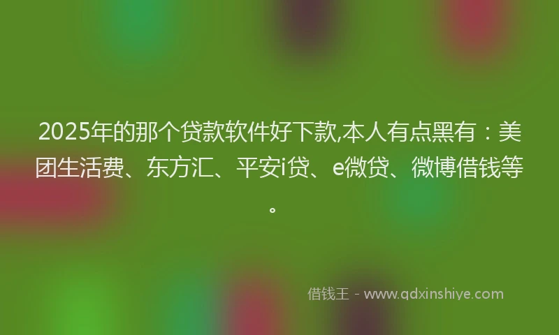 2025年的那个贷款软件好下款,本人有点黑有：美团生活费、东方汇、平安i贷、e微贷、微博借钱等。