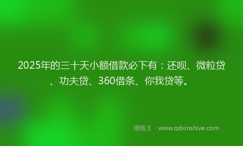2025年的三十天小额借款必下有：还呗、微粒贷、功夫贷、360借条、你我贷等。