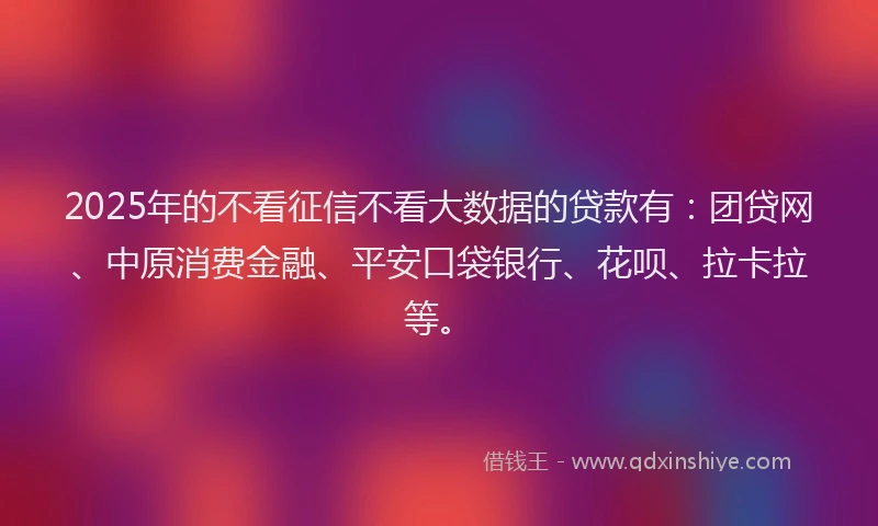 2025年的不看征信不看大数据的贷款有：团贷网、中原消费金融、平安口袋银行、花呗、拉卡拉等。