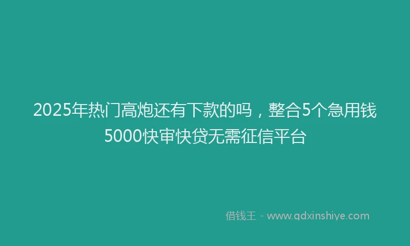 2025年热门高炮还有下款的吗，整合5个急用钱5000快审快贷无需征信平台
