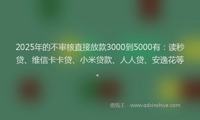 2025年的不审核直接放款3000到5000有：读秒贷、维信卡卡贷、小米贷款、人人贷、安逸花等。