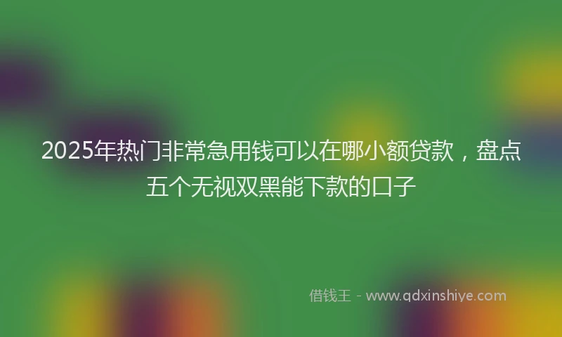 2025年热门非常急用钱可以在哪小额贷款，盘点五个无视双黑能下款的口子