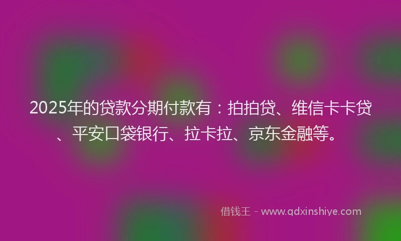 2025年的贷款分期付款有：拍拍贷、维信卡卡贷、平安口袋银行、拉卡拉、京东金融等。