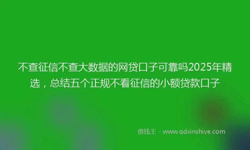 不查征信不查大数据的网贷口子可靠吗2025年精选，总结五个正规不看征信的小额贷款口子