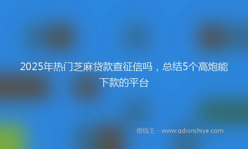 2025年热门芝麻贷款查征信吗，总结5个高炮能下款的平台