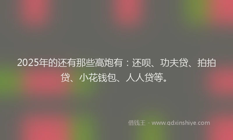 2025年的还有那些高炮有：还呗、功夫贷、拍拍贷、小花钱包、人人贷等。