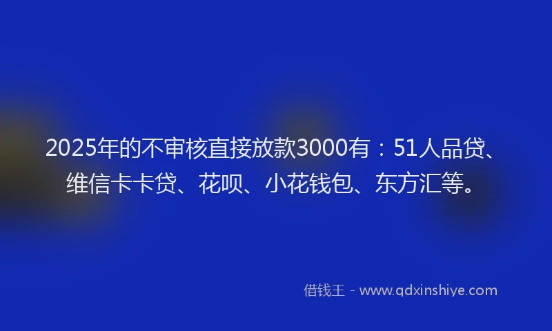 2025年的不审核直接放款3000有：51人品贷、维信卡卡贷、花呗、小花钱包、东方汇等。