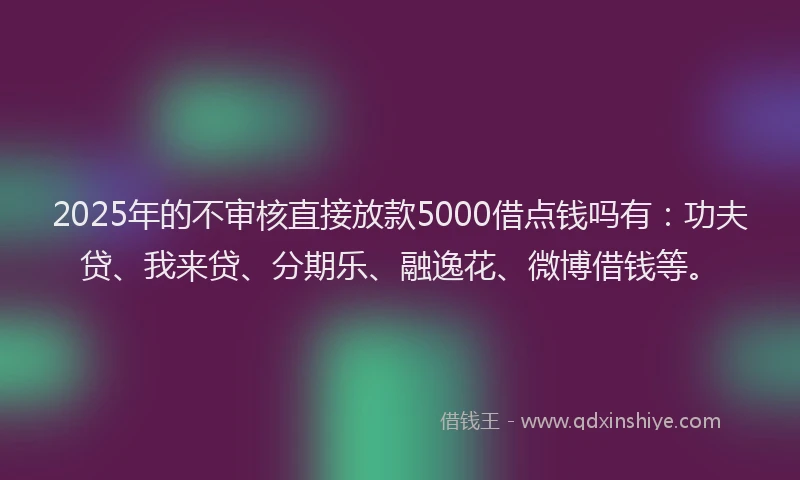 2025年的不审核直接放款5000借点钱吗有：功夫贷、我来贷、分期乐、融逸花、微博借钱等。