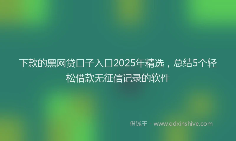 下款的黑网贷口子入口2025年精选，总结5个轻松借款无征信记录的软件
