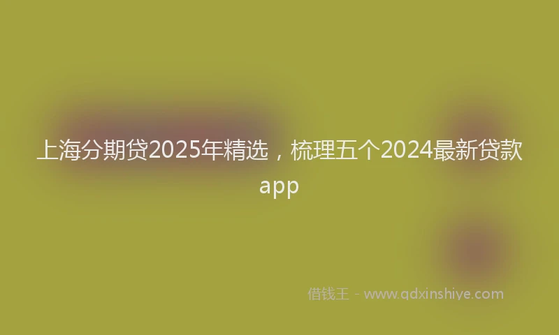 上海分期贷2025年精选，梳理五个2024最新贷款app
