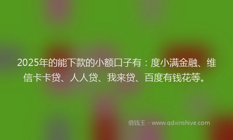 2025年的能下款的小额口子有：度小满金融、维信卡卡贷、人人贷、我来贷、百度有钱花等。
