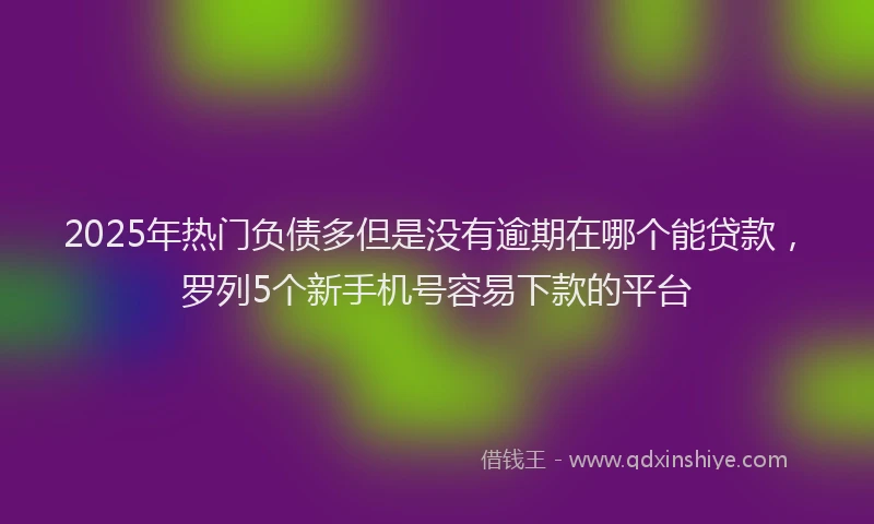 2025年热门负债多但是没有逾期在哪个能贷款，罗列5个新手机号容易下款的平台