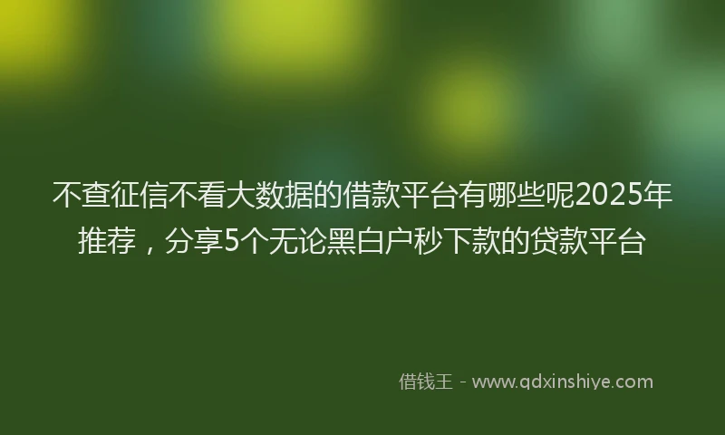 不查征信不看大数据的借款平台有哪些呢2025年推荐，分享5个无论黑白户秒下款的贷款平台