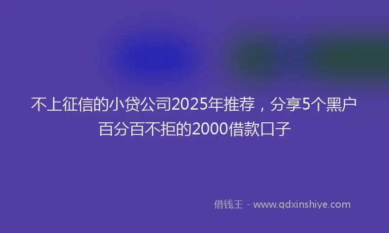 不上征信的小贷公司2025年推荐，分享5个黑户百分百不拒的2000借款口子