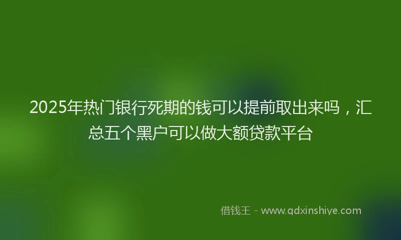 2025年热门银行死期的钱可以提前取出来吗，汇总五个黑户可以做大额贷款平台