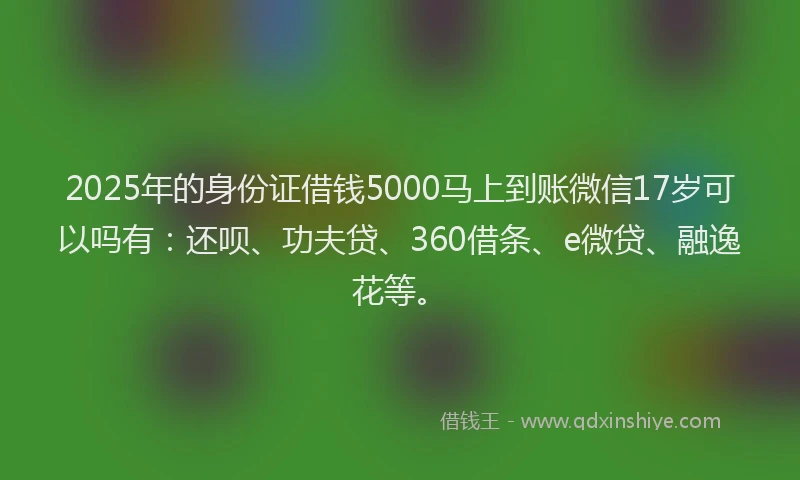 2025年的身份证借钱5000马上到账微信17岁可以吗有：还呗、功夫贷、360借条、e微贷、融逸花等。
