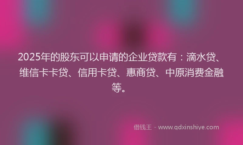 2025年的股东可以申请的企业贷款有：滴水贷、维信卡卡贷、信用卡贷、惠商贷、中原消费金融等。