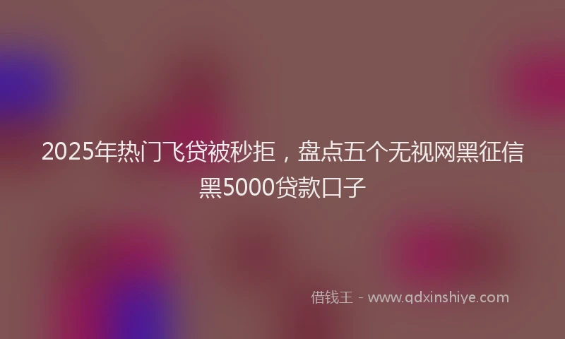 2025年热门飞贷被秒拒，盘点五个无视网黑征信黑5000贷款口子