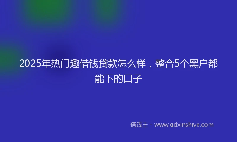 2025年热门趣借钱贷款怎么样，整合5个黑户都能下的口子