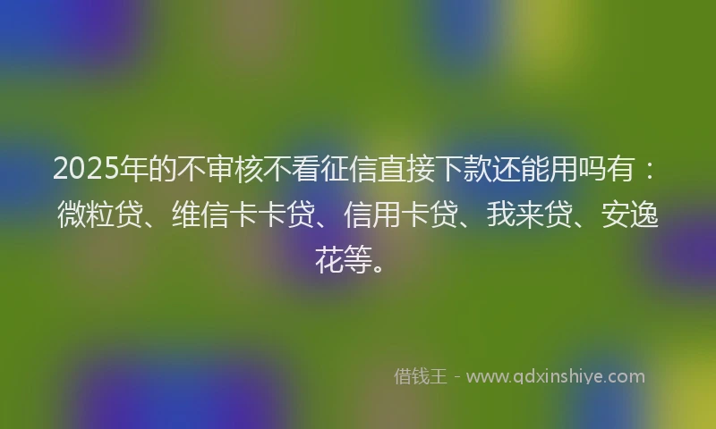 2025年的不审核不看征信直接下款还能用吗有：微粒贷、维信卡卡贷、信用卡贷、我来贷、安逸花等。