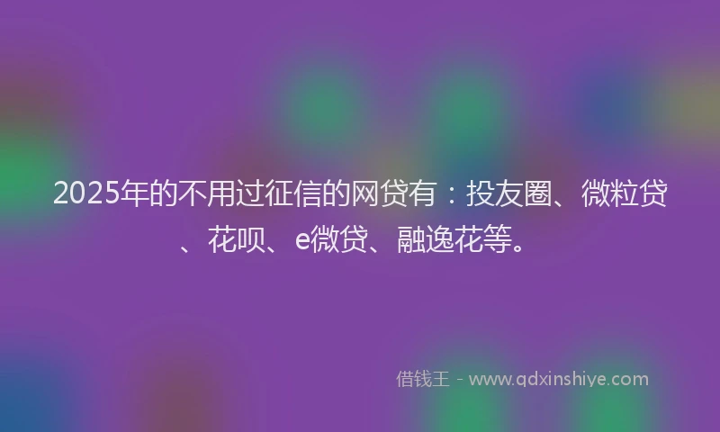 2025年的不用过征信的网贷有：投友圈、微粒贷、花呗、e微贷、融逸花等。